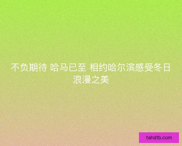 不负期待 哈马已至 相约哈尔滨感受冬日浪漫之美